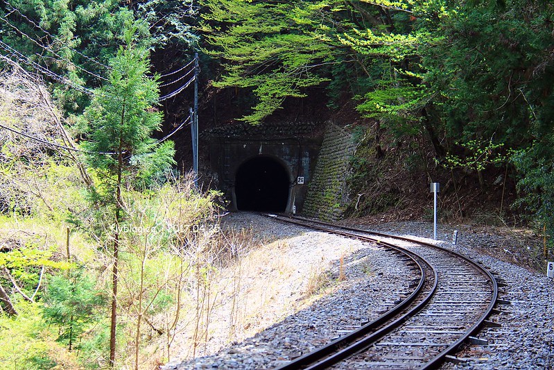 【日本靜岡】大井川鐵道~新金谷站搭乘復古懷舊SL號蒸氣火車，鐵道界的活化石也是日本最美的鐵道之一，還有期間限定的湯瑪士小火車 @飛天璇的口袋