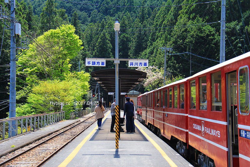 【日本靜岡】大井川鐵道~新金谷站搭乘復古懷舊SL號蒸氣火車，鐵道界的活化石也是日本最美的鐵道之一，還有期間限定的湯瑪士小火車 @飛天璇的口袋