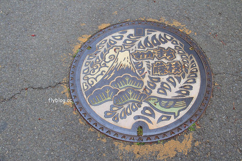 【日本靜岡】藤枝蓮華寺池公園~以花、水、鳥為主題的自然公園，有櫻花、荷花、杜鵑和紫藤花&hellip;等不同花卉，分享4/26紫藤花的最新花況 @飛天璇的口袋