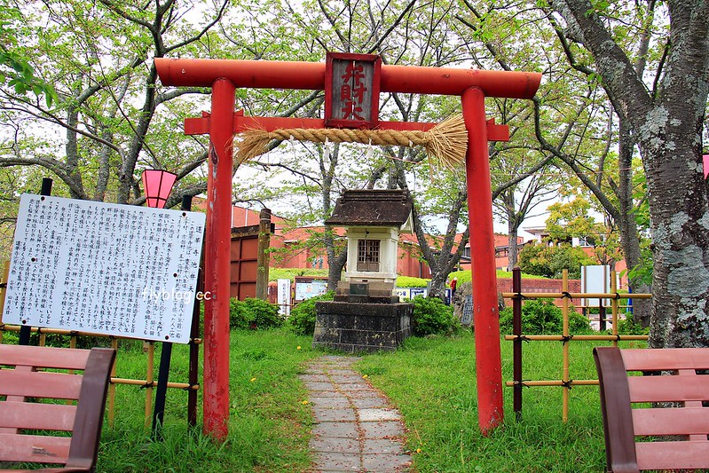 【日本靜岡】藤枝蓮華寺池公園~以花、水、鳥為主題的自然公園，有櫻花、荷花、杜鵑和紫藤花&hellip;等不同花卉，分享4/26紫藤花的最新花況 @飛天璇的口袋