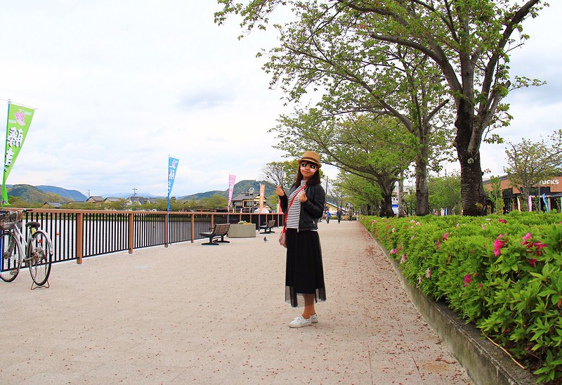 【日本靜岡】藤枝蓮華寺池公園~以花、水、鳥為主題的自然公園，有櫻花、荷花、杜鵑和紫藤花&hellip;等不同花卉，分享4/26紫藤花的最新花況 @飛天璇的口袋