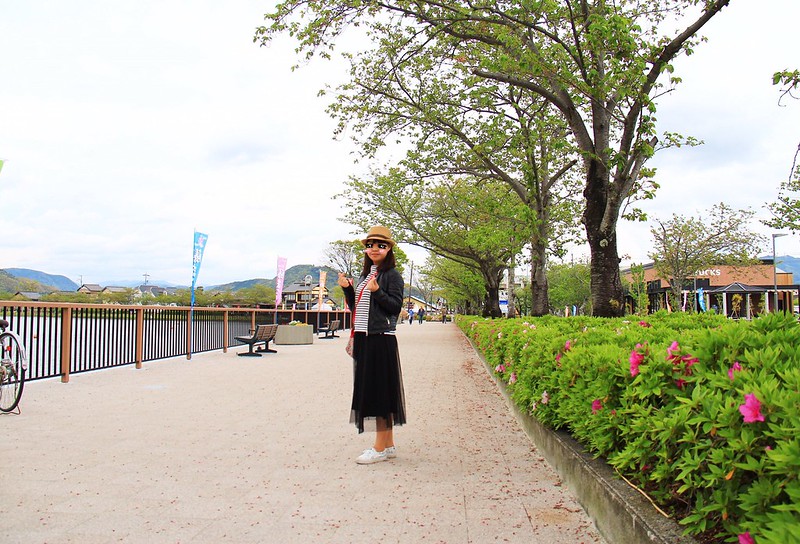 【日本靜岡】藤枝蓮華寺池公園~以花、水、鳥為主題的自然公園，有櫻花、荷花、杜鵑和紫藤花&hellip;等不同花卉，分享4/26紫藤花的最新花況 @飛天璇的口袋