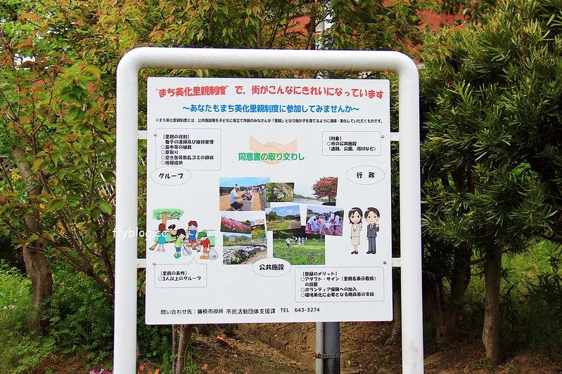 【日本靜岡】藤枝蓮華寺池公園~以花、水、鳥為主題的自然公園，有櫻花、荷花、杜鵑和紫藤花&hellip;等不同花卉，分享4/26紫藤花的最新花況 @飛天璇的口袋