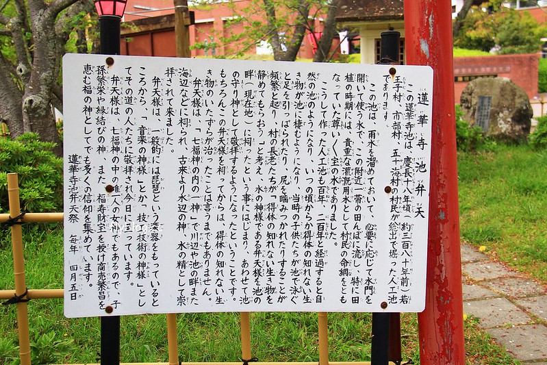 【日本靜岡】藤枝蓮華寺池公園~以花、水、鳥為主題的自然公園，有櫻花、荷花、杜鵑和紫藤花&hellip;等不同花卉，分享4/26紫藤花的最新花況 @飛天璇的口袋