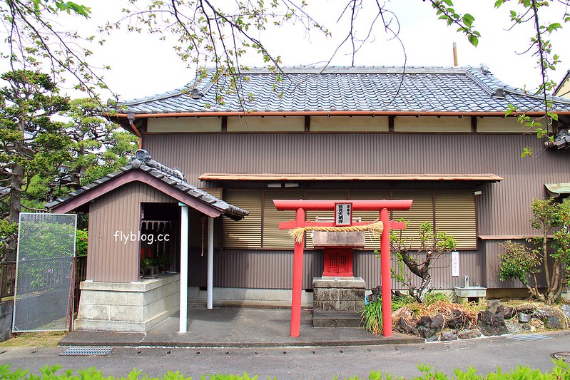 【日本靜岡】藤枝蓮華寺池公園~以花、水、鳥為主題的自然公園，有櫻花、荷花、杜鵑和紫藤花&hellip;等不同花卉，分享4/26紫藤花的最新花況 @飛天璇的口袋