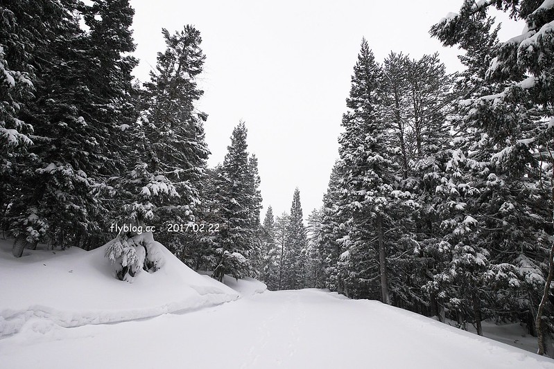 Fairy Land金山滑雪場┃福島旅遊景點：搭乘雪地纜車體驗，還有初階版的雪上甜甜圈、雪鞦和雪盆&hellip;等，冬季到奧會津就是要滑雪 @飛天璇的口袋