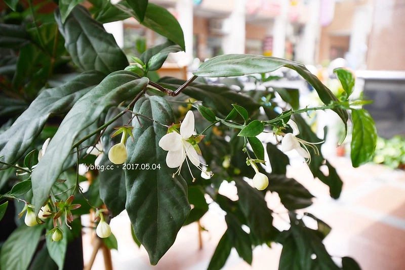 台中南屯｜Nest Kitchen．餐點很有溫度也很有質感，近期很喜歡的義式餐廳 @飛天璇的口袋