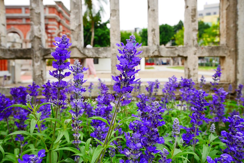 一德洋樓．台中市歷史建築林懋陽故居┃台中北屯美食：百年古蹟再造，結合一德藝文茶館、禧院喜餅、羅布森書蟲房冊惦、布朗尼甜點，未來還會有兒童沙坑和遊戲區 @飛天璇的口袋
