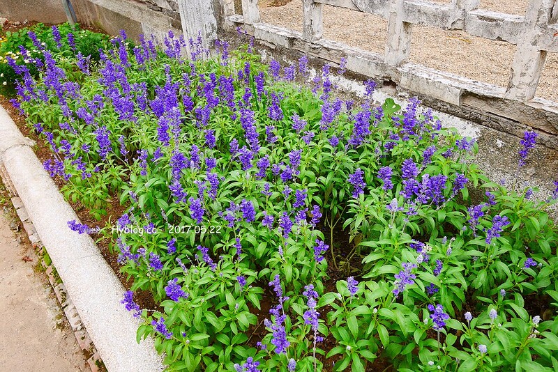 一德洋樓．台中市歷史建築林懋陽故居┃台中北屯美食：百年古蹟再造，結合一德藝文茶館、禧院喜餅、羅布森書蟲房冊惦、布朗尼甜點，未來還會有兒童沙坑和遊戲區 @飛天璇的口袋
