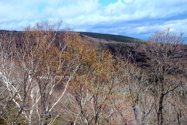 福島五天四夜自駕┃安達太良山：搭乘纜車欣賞日本百座名山，5/13~6/4期間長達1500公尺的百萬登海，春綠、秋楓、冬雪&hellip;一年四季不同美景 @飛天璇的口袋