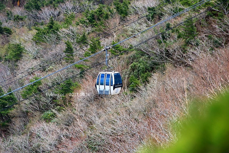 福島五天四夜自駕┃安達太良山：搭乘纜車欣賞日本百座名山，5/13~6/4期間長達1500公尺的百萬登海，春綠、秋楓、冬雪&hellip;一年四季不同美景 @飛天璇的口袋