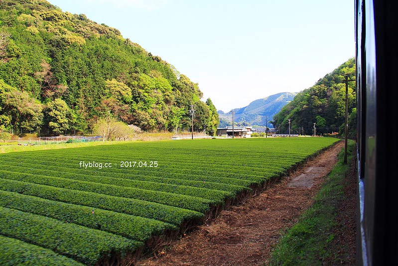 【日本靜岡】大井川鐵道~新金谷站搭乘復古懷舊SL號蒸氣火車，鐵道界的活化石也是日本最美的鐵道之一，還有期間限定的湯瑪士小火車 @飛天璇的口袋