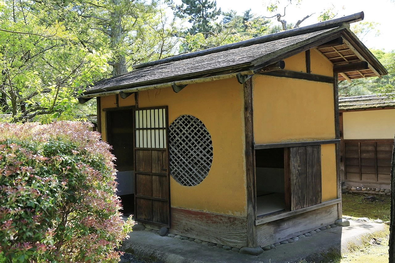 日本福島｜茶室麟閣．會津若松城旁，楓葉紅時巧遇紫藤花與櫻花 @飛天璇的口袋