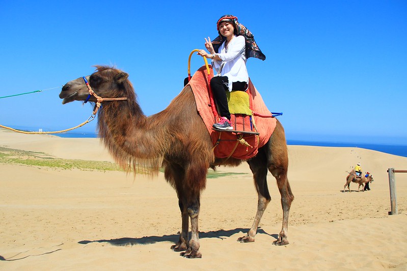 鳥取砂丘┃鳥取親子自駕遊：日本地區最美的沙漠景色，山陰地區必遊的旅遊景點推薦 @飛天璇的口袋