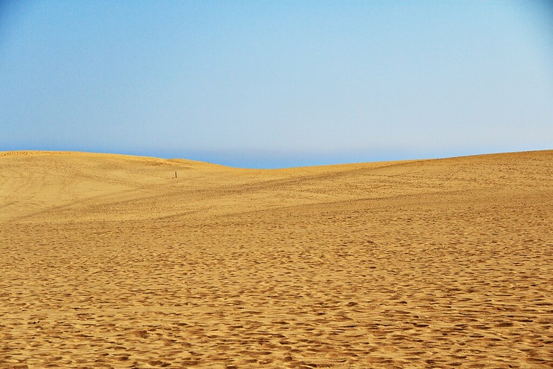 鳥取砂丘┃鳥取親子自駕遊：日本地區最美的沙漠景色，山陰地區必遊的旅遊景點推薦 @飛天璇的口袋