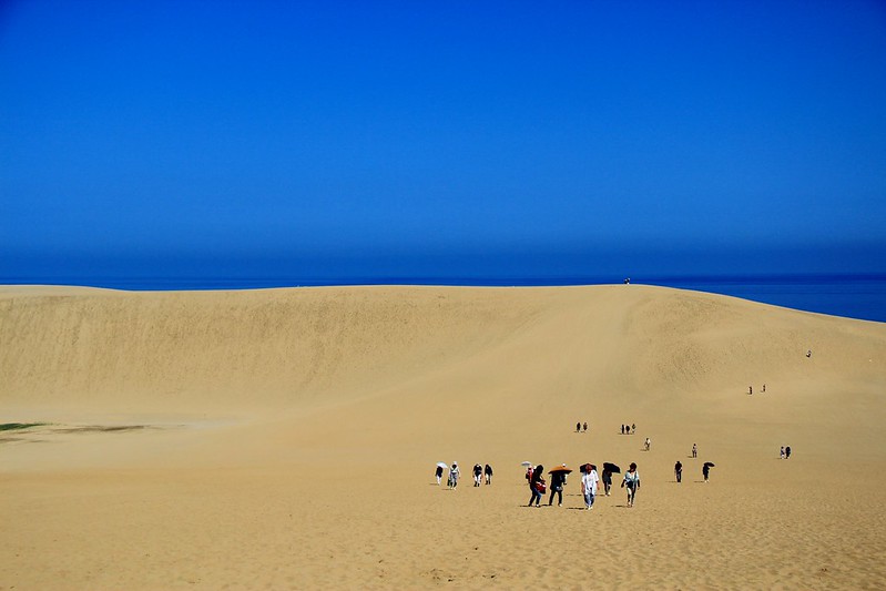 鳥取砂丘┃鳥取親子自駕遊：日本地區最美的沙漠景色，山陰地區必遊的旅遊景點推薦 @飛天璇的口袋