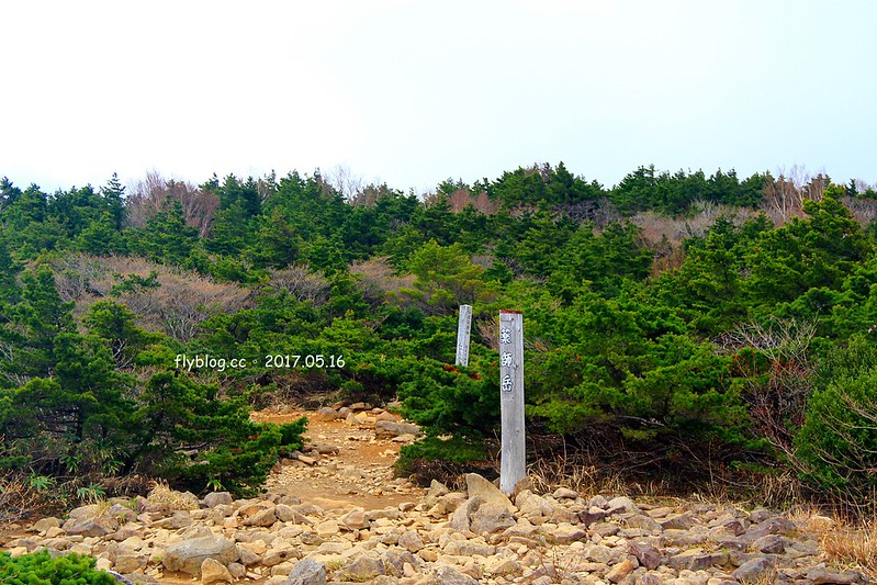 福島五天四夜自駕┃安達太良山：搭乘纜車欣賞日本百座名山，5/13~6/4期間長達1500公尺的百萬登海，春綠、秋楓、冬雪&hellip;一年四季不同美景 @飛天璇的口袋