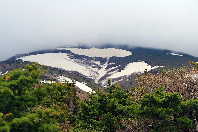 福島五天四夜自駕┃安達太良山：搭乘纜車欣賞日本百座名山，5/13~6/4期間長達1500公尺的百萬登海，春綠、秋楓、冬雪&hellip;一年四季不同美景 @飛天璇的口袋