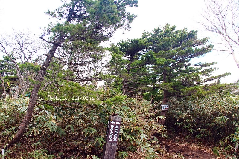 福島五天四夜自駕┃安達太良山：搭乘纜車欣賞日本百座名山，5/13~6/4期間長達1500公尺的百萬登海，春綠、秋楓、冬雪&hellip;一年四季不同美景 @飛天璇的口袋