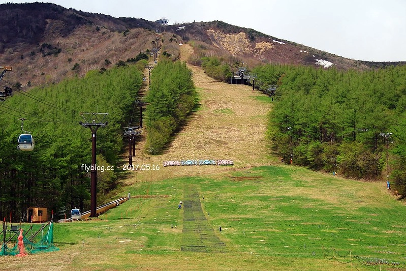 福島五天四夜自駕┃安達太良山：搭乘纜車欣賞日本百座名山，5/13~6/4期間長達1500公尺的百萬登海，春綠、秋楓、冬雪&hellip;一年四季不同美景 @飛天璇的口袋