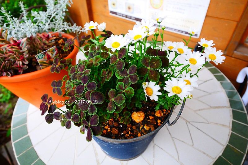 福島五天四夜自駕┃風花起司蛋糕工房(チーズケーキ工房・カフェ風花) ：雨後意外的下午茶，巧遇人氣NO.1的起司蛋糕，二本松市鄰近岳溫泉、豬苗代湖和五色沼湖 @飛天璇的口袋