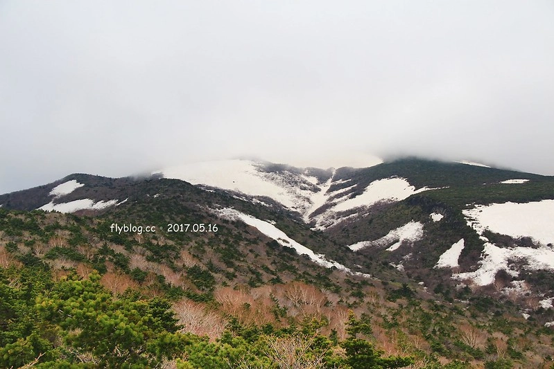 福島五天四夜自駕┃安達太良山：搭乘纜車欣賞日本百座名山，5/13~6/4期間長達1500公尺的百萬登海，春綠、秋楓、冬雪&hellip;一年四季不同美景 @飛天璇的口袋