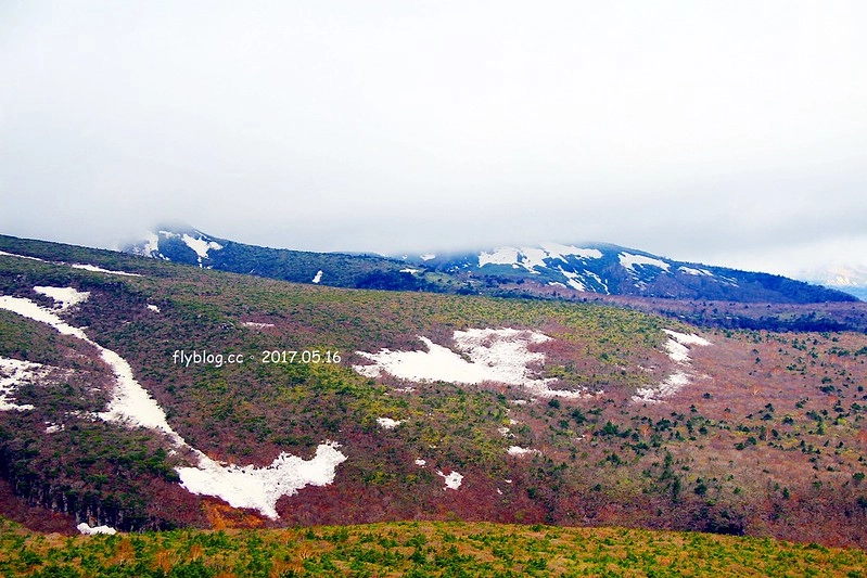福島五天四夜自駕┃安達太良山：搭乘纜車欣賞日本百座名山，5/13~6/4期間長達1500公尺的百萬登海，春綠、秋楓、冬雪&hellip;一年四季不同美景 @飛天璇的口袋