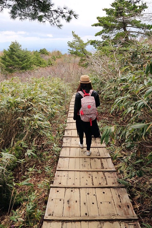 福島五天四夜自駕┃安達太良山：搭乘纜車欣賞日本百座名山，5/13~6/4期間長達1500公尺的百萬登海，春綠、秋楓、冬雪&hellip;一年四季不同美景 @飛天璇的口袋
