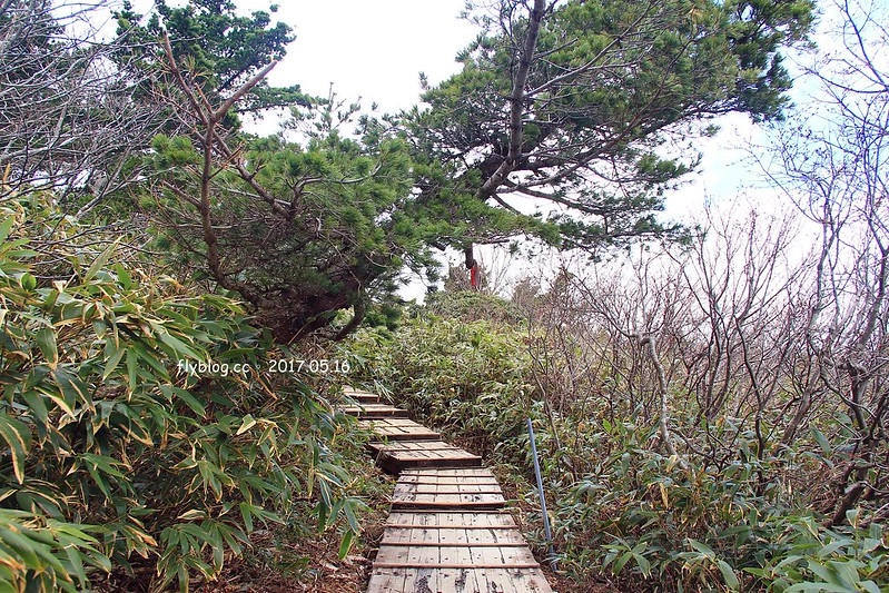 福島五天四夜自駕┃安達太良山：搭乘纜車欣賞日本百座名山，5/13~6/4期間長達1500公尺的百萬登海，春綠、秋楓、冬雪&hellip;一年四季不同美景 @飛天璇的口袋