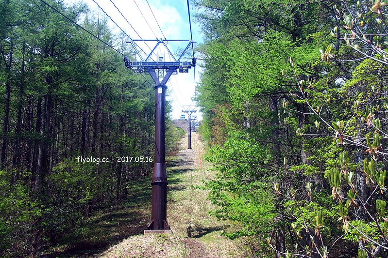 福島五天四夜自駕┃安達太良山：搭乘纜車欣賞日本百座名山，5/13~6/4期間長達1500公尺的百萬登海，春綠、秋楓、冬雪&hellip;一年四季不同美景 @飛天璇的口袋