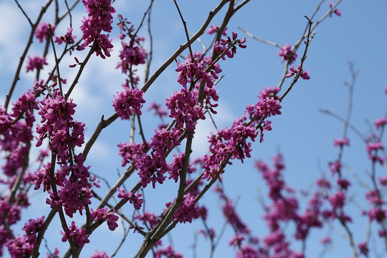 日本福島｜豬苗代湖．有天鏡湖別稱的絕美湖泊，日本第四大湖透明度全日本第三 @飛天璇的口袋