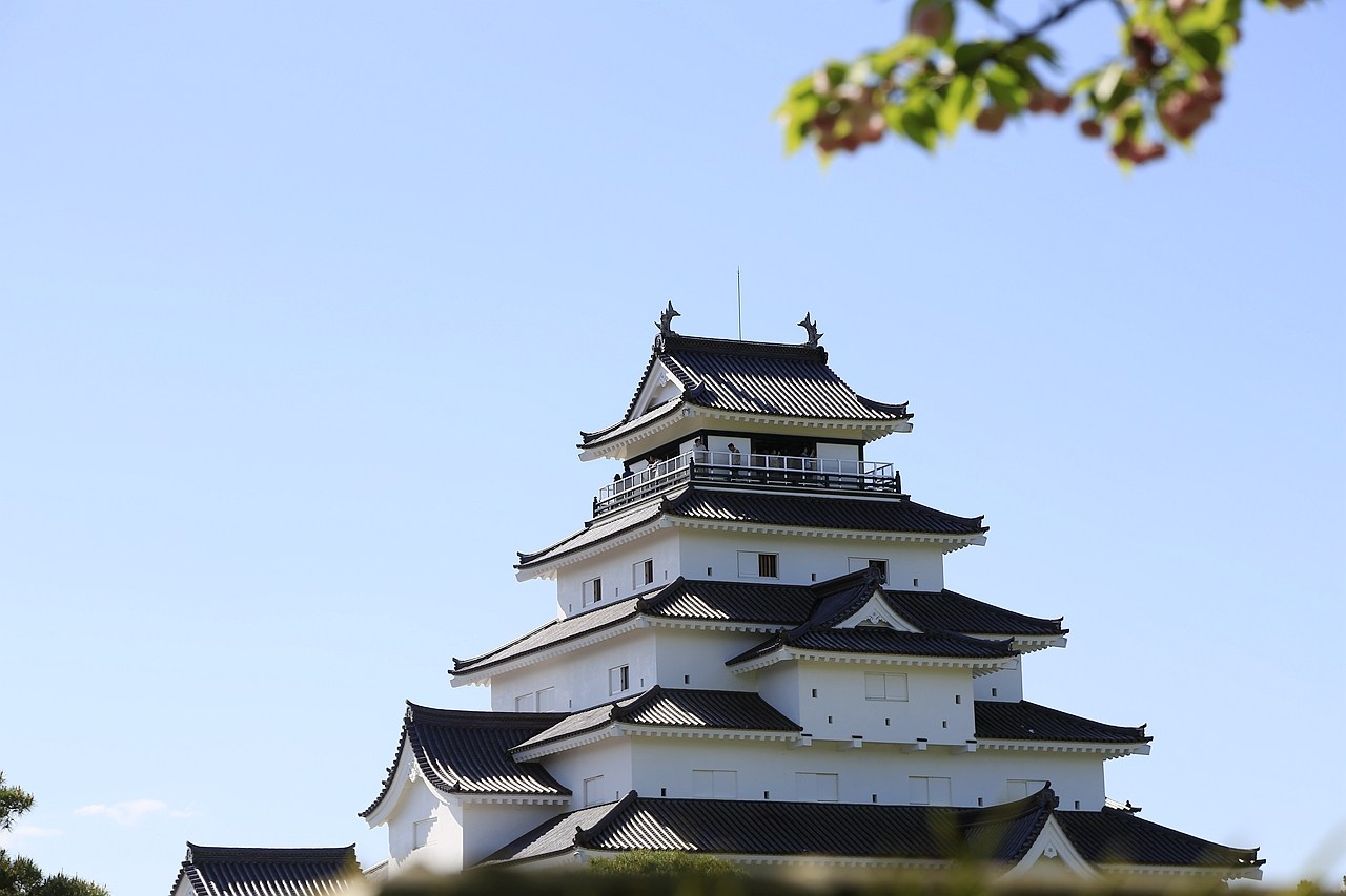 日本福島｜茶室麟閣．會津若松城旁，楓葉紅時巧遇紫藤花與櫻花 @飛天璇的口袋