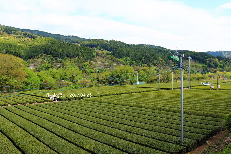 【日本靜岡】大井川鐵道~新金谷站搭乘復古懷舊SL號蒸氣火車，鐵道界的活化石也是日本最美的鐵道之一，還有期間限定的湯瑪士小火車 @飛天璇的口袋