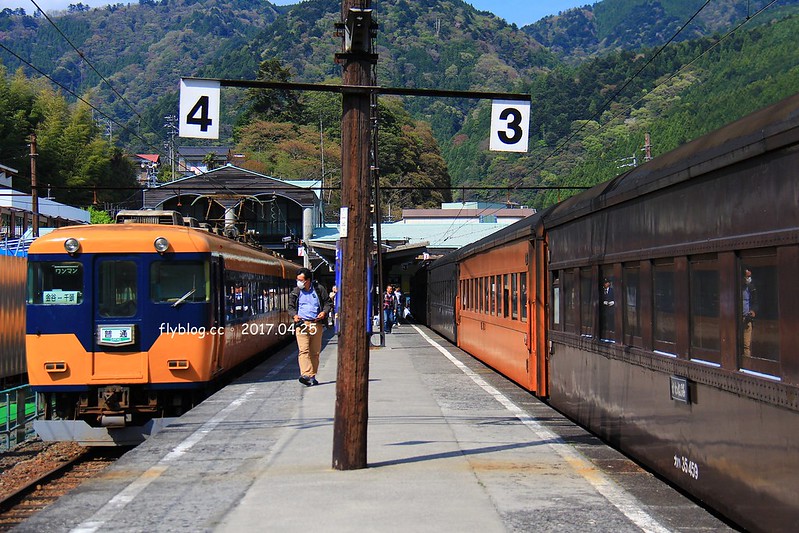 【日本靜岡】大井川鐵道~新金谷站搭乘復古懷舊SL號蒸氣火車，鐵道界的活化石也是日本最美的鐵道之一，還有期間限定的湯瑪士小火車 @飛天璇的口袋