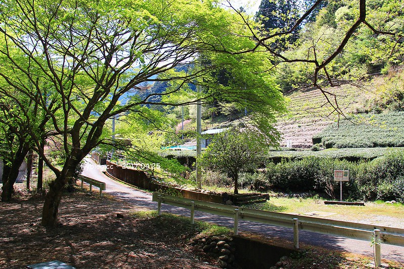 【日本靜岡】大井川鐵道~新金谷站搭乘復古懷舊SL號蒸氣火車，鐵道界的活化石也是日本最美的鐵道之一，還有期間限定的湯瑪士小火車 @飛天璇的口袋