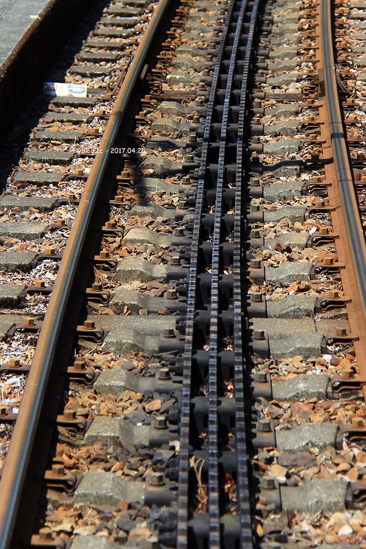 【日本靜岡】大井川鐵道~新金谷站搭乘復古懷舊SL號蒸氣火車，鐵道界的活化石也是日本最美的鐵道之一，還有期間限定的湯瑪士小火車 @飛天璇的口袋