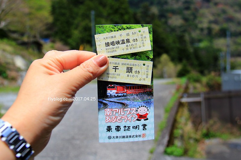 【日本靜岡】大井川鐵道~新金谷站搭乘復古懷舊SL號蒸氣火車，鐵道界的活化石也是日本最美的鐵道之一，還有期間限定的湯瑪士小火車 @飛天璇的口袋