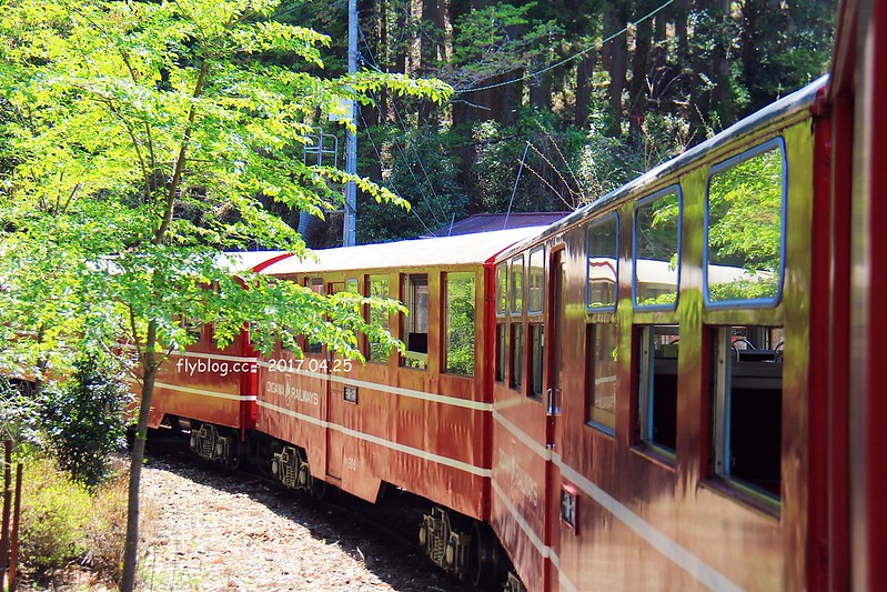【日本靜岡】大井川鐵道~新金谷站搭乘復古懷舊SL號蒸氣火車，鐵道界的活化石也是日本最美的鐵道之一，還有期間限定的湯瑪士小火車 @飛天璇的口袋