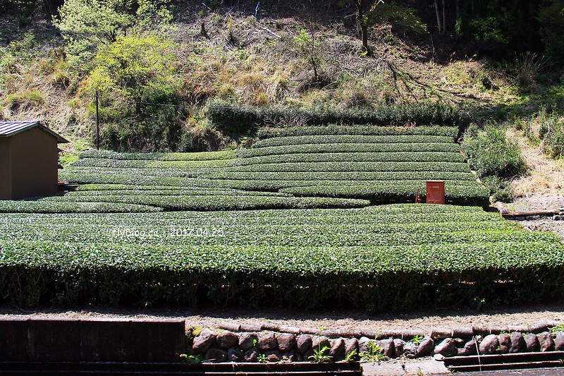 【日本靜岡】大井川鐵道~新金谷站搭乘復古懷舊SL號蒸氣火車，鐵道界的活化石也是日本最美的鐵道之一，還有期間限定的湯瑪士小火車 @飛天璇的口袋