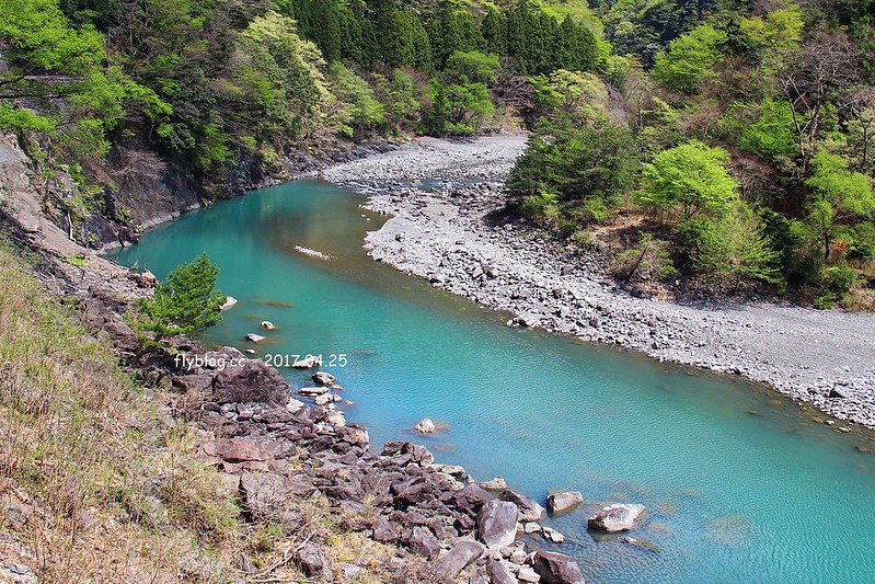 【日本靜岡】大井川鐵道~新金谷站搭乘復古懷舊SL號蒸氣火車，鐵道界的活化石也是日本最美的鐵道之一，還有期間限定的湯瑪士小火車 @飛天璇的口袋