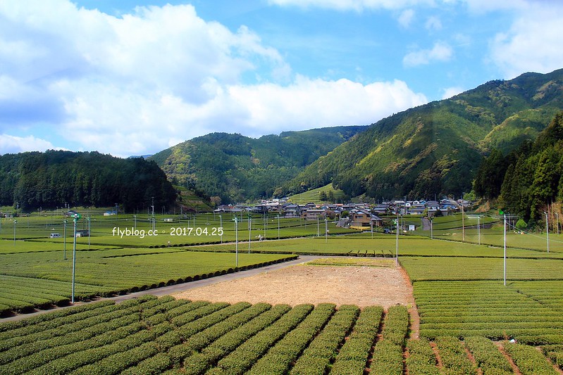 【日本靜岡】大井川鐵道~新金谷站搭乘復古懷舊SL號蒸氣火車，鐵道界的活化石也是日本最美的鐵道之一，還有期間限定的湯瑪士小火車 @飛天璇的口袋