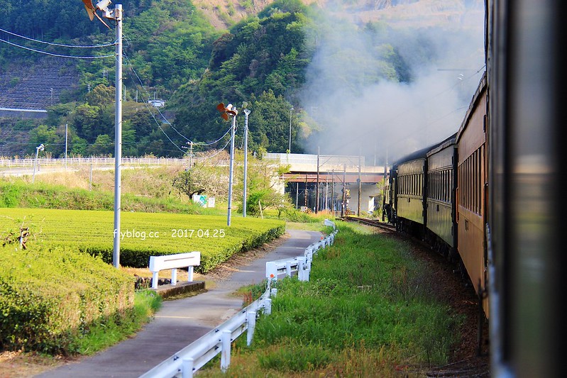 【日本靜岡】大井川鐵道~新金谷站搭乘復古懷舊SL號蒸氣火車，鐵道界的活化石也是日本最美的鐵道之一，還有期間限定的湯瑪士小火車 @飛天璇的口袋