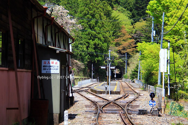 【日本靜岡】大井川鐵道~新金谷站搭乘復古懷舊SL號蒸氣火車，鐵道界的活化石也是日本最美的鐵道之一，還有期間限定的湯瑪士小火車 @飛天璇的口袋