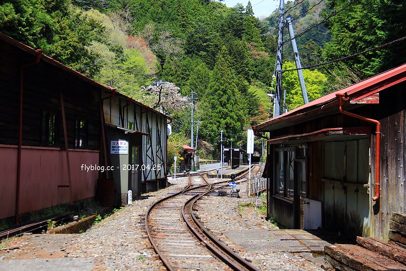 【日本靜岡】大井川鐵道~新金谷站搭乘復古懷舊SL號蒸氣火車，鐵道界的活化石也是日本最美的鐵道之一，還有期間限定的湯瑪士小火車 @飛天璇的口袋
