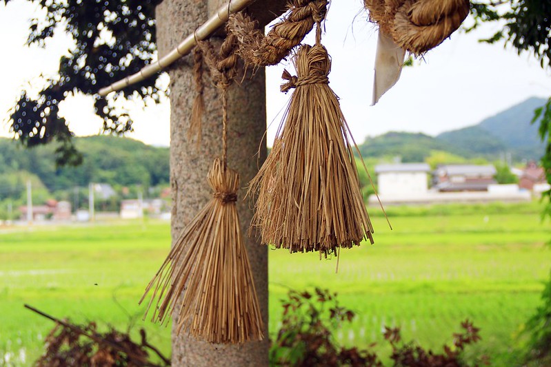 鳥取龍貓森林(小原神社)：位於南方町的秘境，仿佛走進龍貓電影中的森林 @飛天璇的口袋