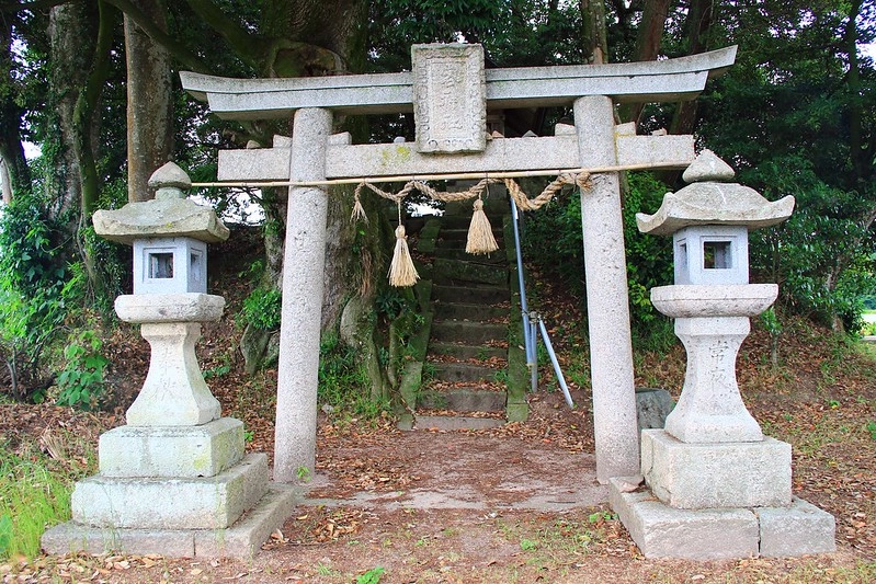鳥取龍貓森林(小原神社)：位於南方町的秘境，仿佛走進龍貓電影中的森林 @飛天璇的口袋