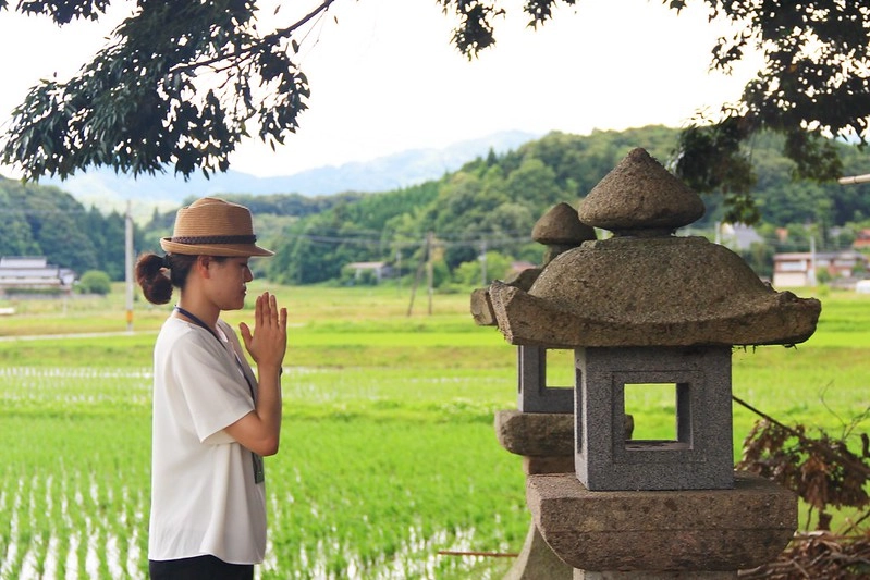 鳥取龍貓森林(小原神社)：位於南方町的秘境，仿佛走進龍貓電影中的森林 @飛天璇的口袋