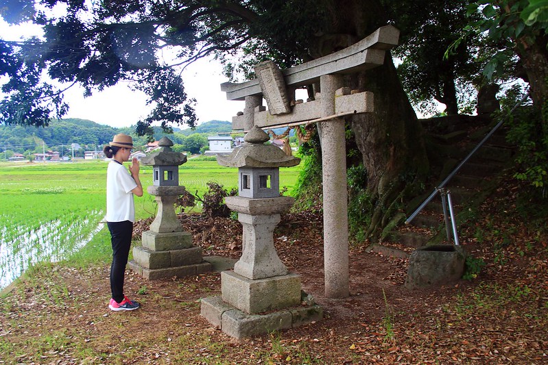 鳥取龍貓森林(小原神社)：位於南方町的秘境，仿佛走進龍貓電影中的森林 @飛天璇的口袋