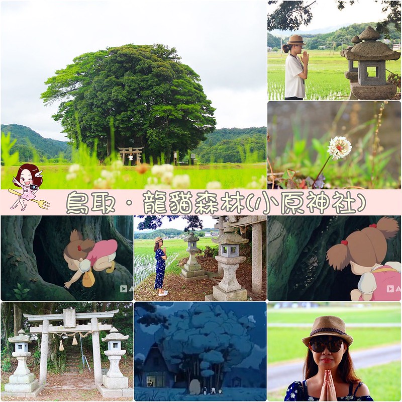 鳥取龍貓森林(小原神社)：位於南方町的秘境，仿佛走進龍貓電影中的森林 @飛天璇的口袋