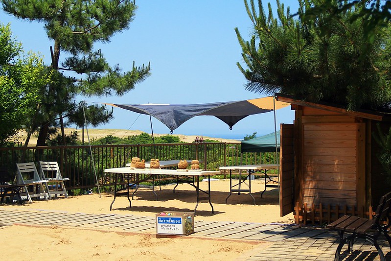 砂之美術館┃鳥取親子自駕遊：2017年最新展覽主題~美國，把簡單的砂變成精美的藝術品，可以和鳥取砂丘排半日遊 @飛天璇的口袋